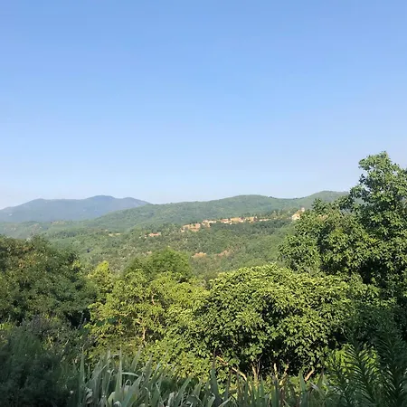 Mas La Lloubere * Serralongue