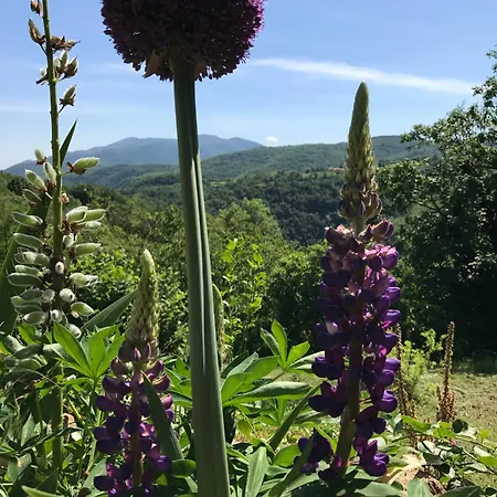 Prázdninový dům Mas La Lloubere Serralongue