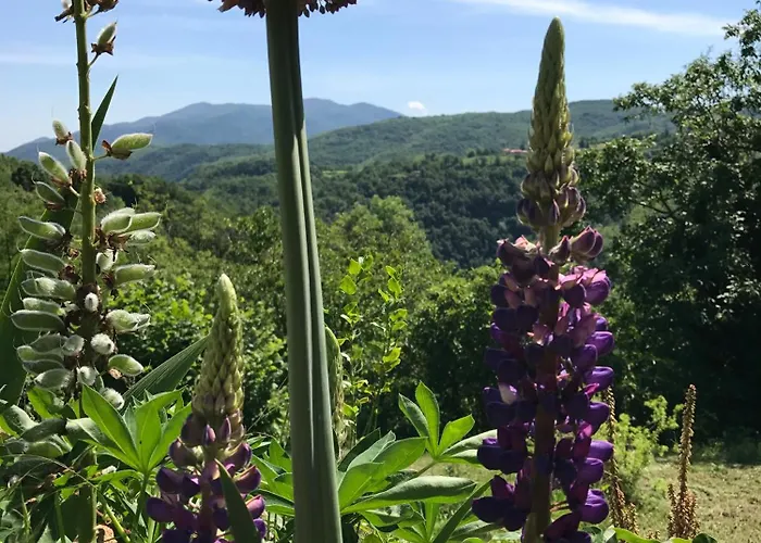 Dom wakacyjny Mas La Lloubere Serralongue