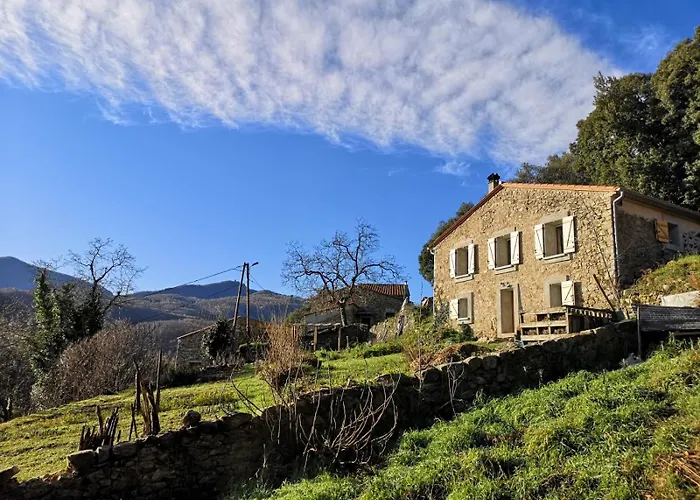 Dom wakacyjny Mas La Lloubere